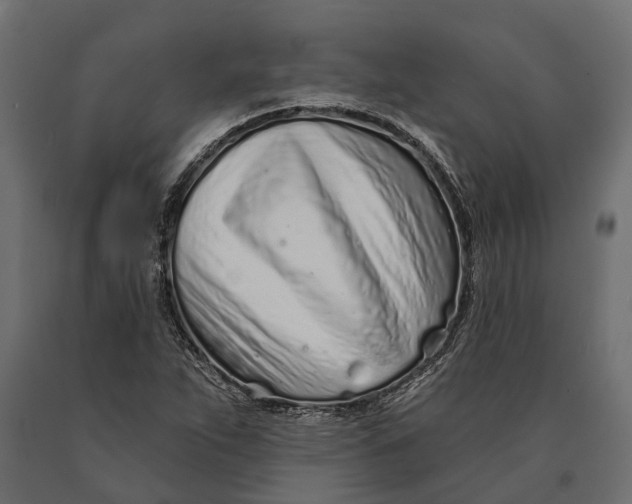 X0000090461263200708031232