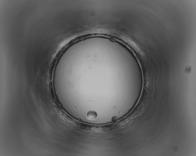 X0000090461264200708031232