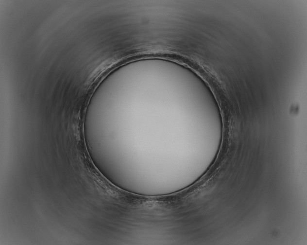 X0000090461265200708031232