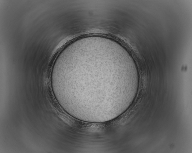 X0000090461266200708031232