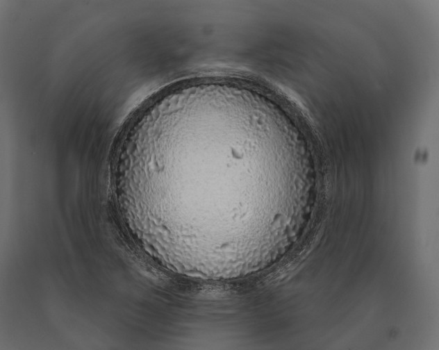 X0000090461267200708031232
