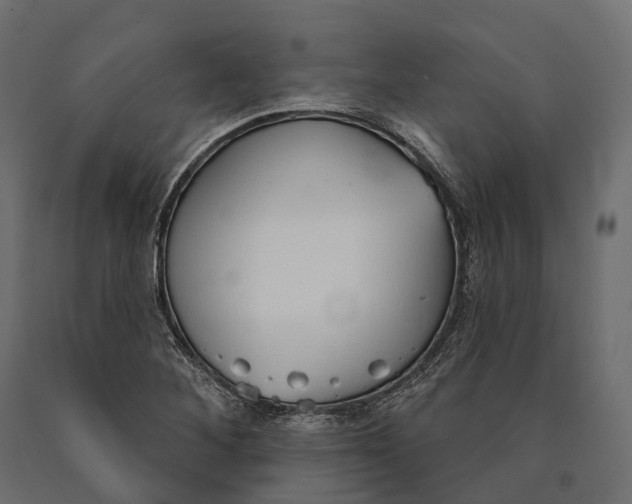 X0000090461268200708031232