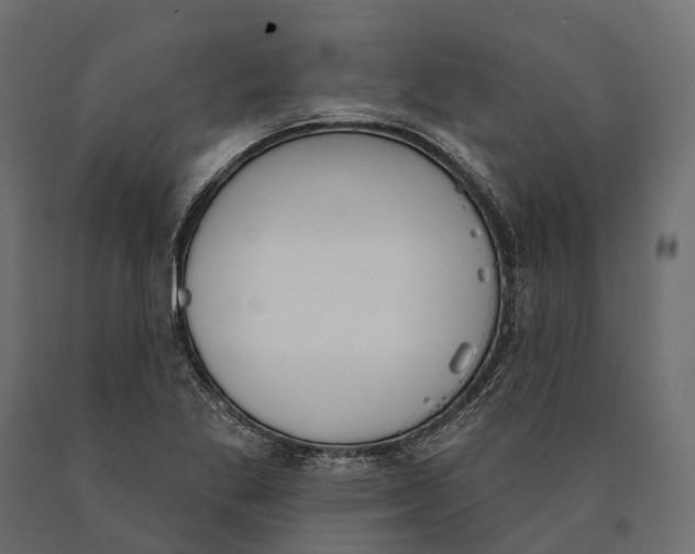 X0000090461269200708031232