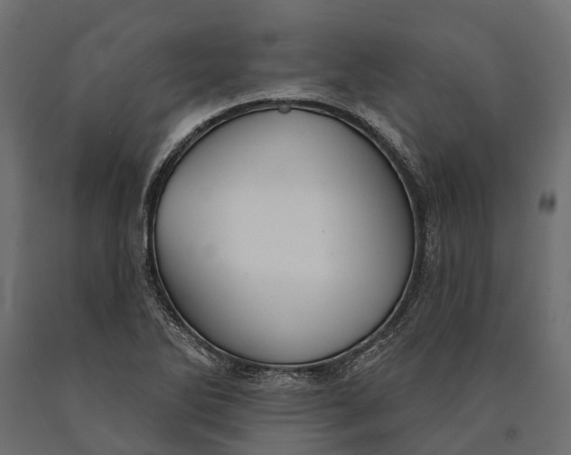 X0000090461270200708031232