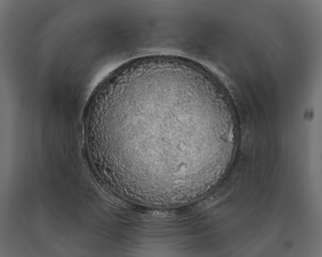 X0000090461271200708031232