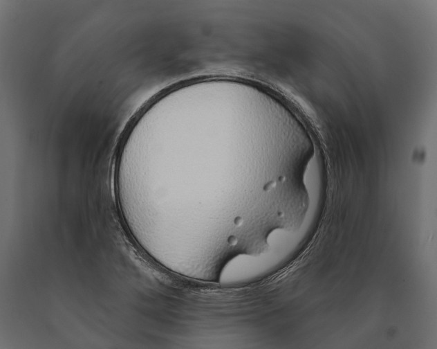 X0000090461272200708031232