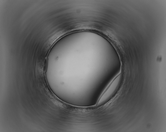 X0000090461273200708031232