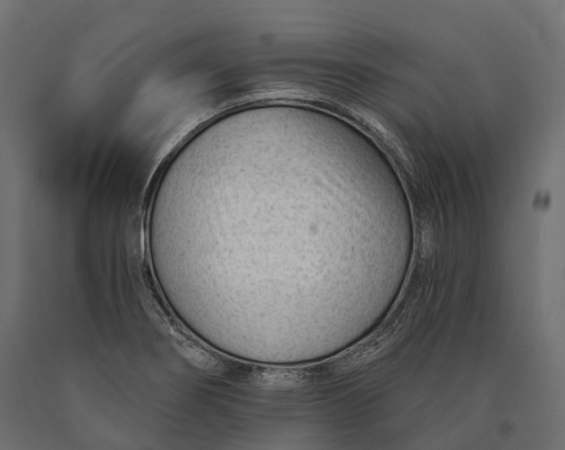 X0000090461274200708031232