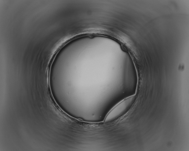 X0000090461275200708031232