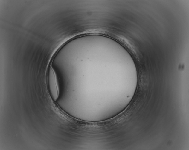X0000090461276200708031232