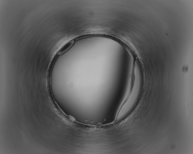 X0000090461277200708031232