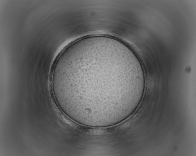 X0000090461278200708031232