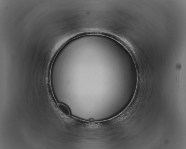 X0000090461279200708031232