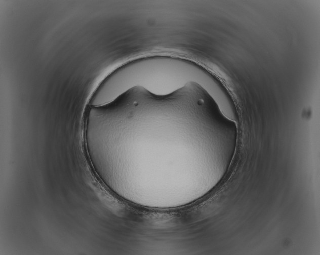 X0000090461280200708031232