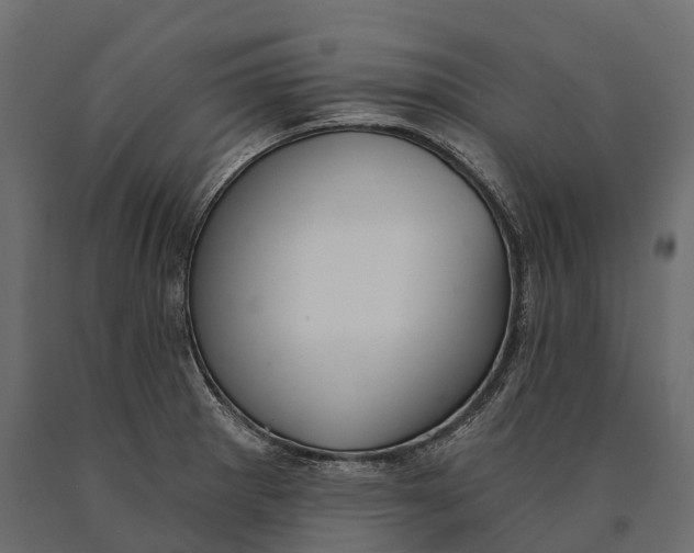 X0000090461281200708031232