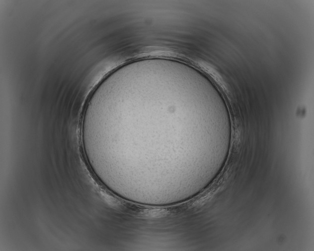 X0000090461282200708031232