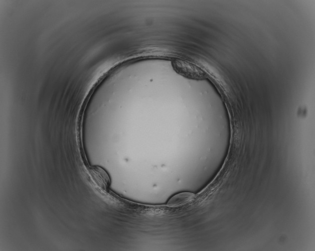 X0000090461283200708031232