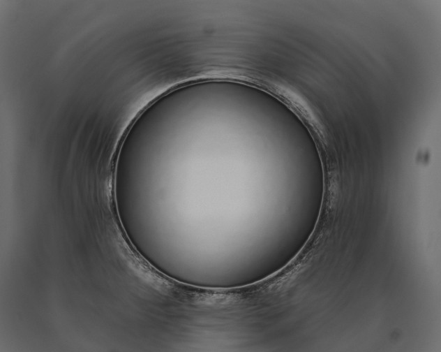X0000090461284200708031232