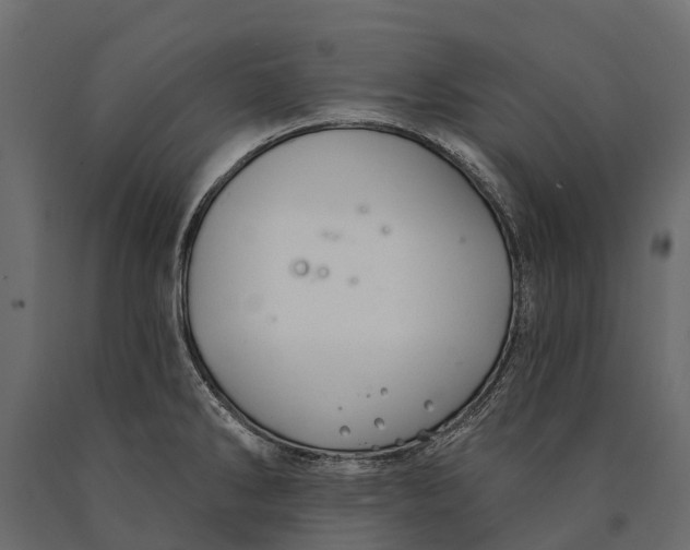 X0000090461286200708031232