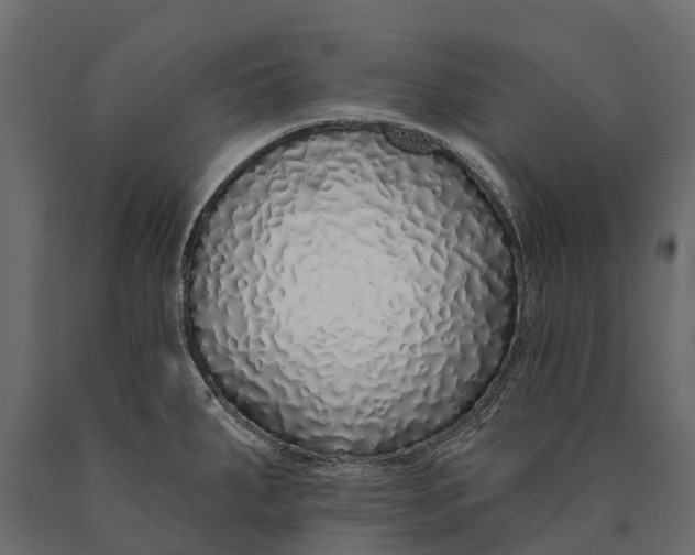 X0000090461287200708031232