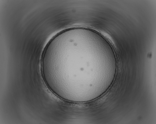 X0000090461288200708031232
