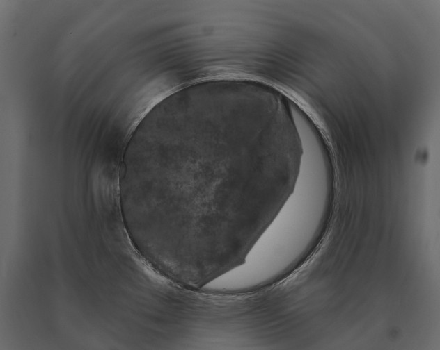 X0000090461289200708031232