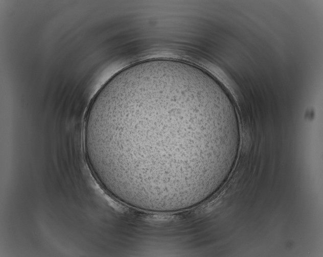 X0000090461290200708031232