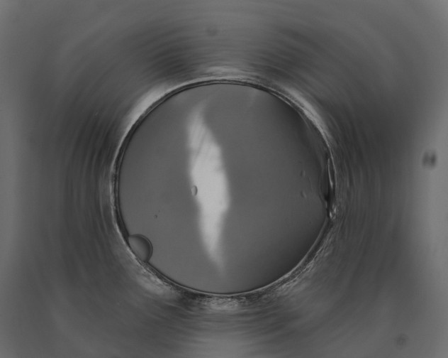 X0000090461291200708031232