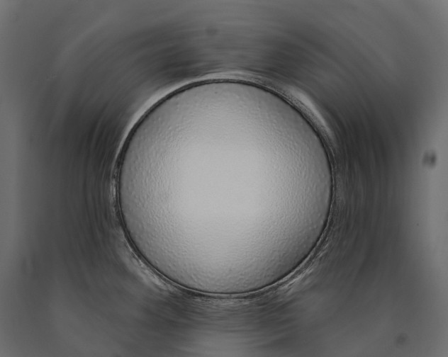 X0000090461292200708031232