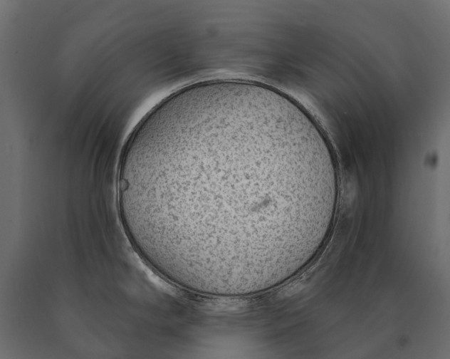 X0000090461294200708031232