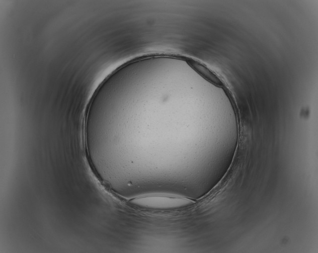 X0000090461295200708031232