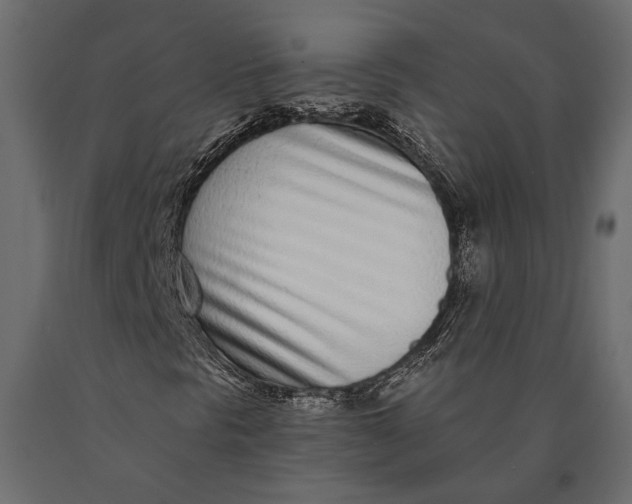 X0000090461297200708031231