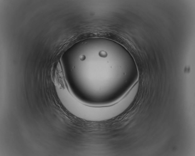 X0000090461298200708031231
