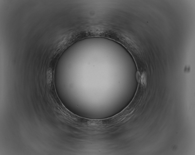 X0000090461299200708031231