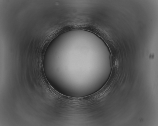 X0000090461300200708031231