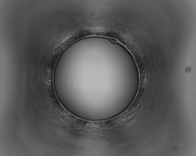 X0000090461301200708031231