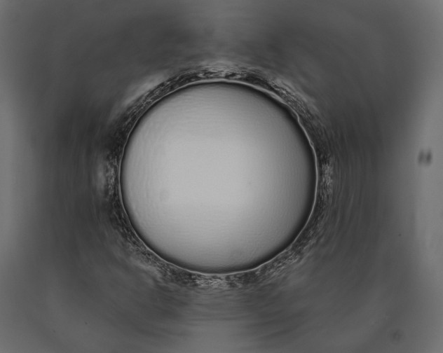 X0000090461302200708031231