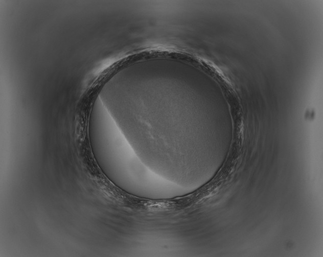 X0000090461303200708031231