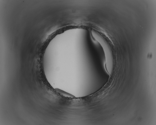 X0000090461304200708031231