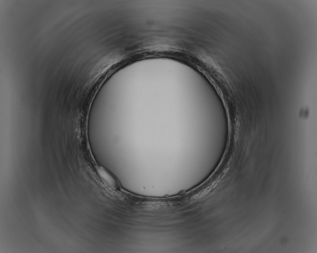 X0000090461305200708031231