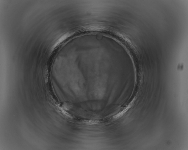 X0000090461306200708031231
