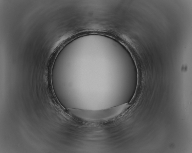 X0000090461307200708031231