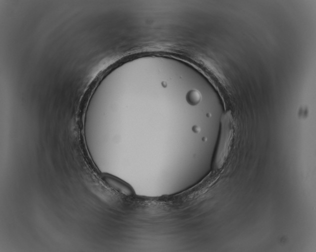 X0000090461308200708031231