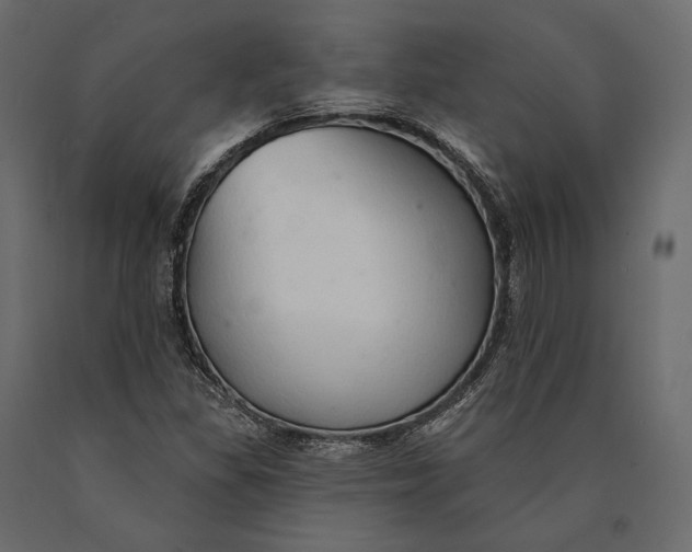 X0000090461309200708031231