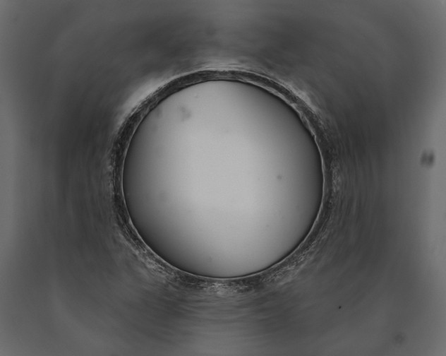 X0000090461311200708031231