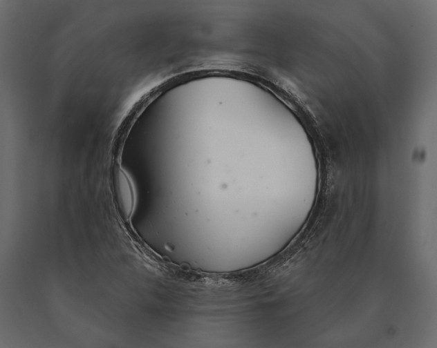 X0000090461312200708031231