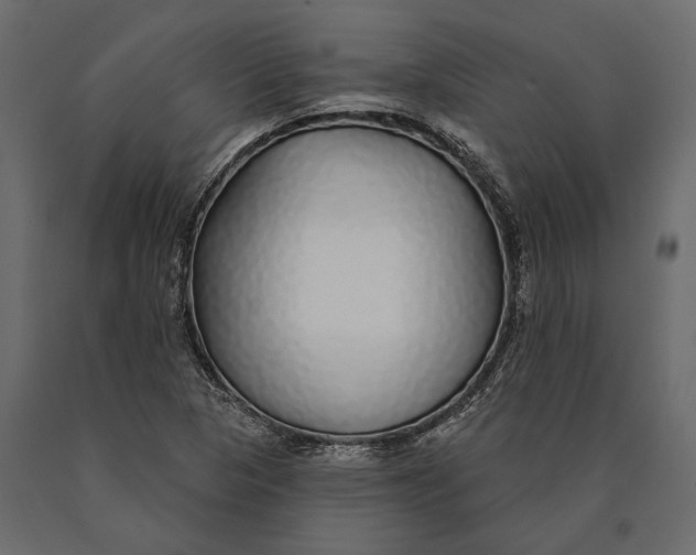 X0000090461313200708031231