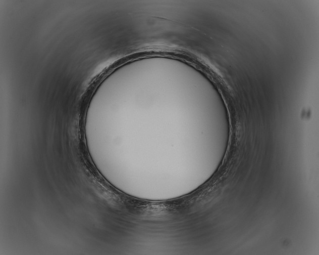 X0000090461315200708031232
