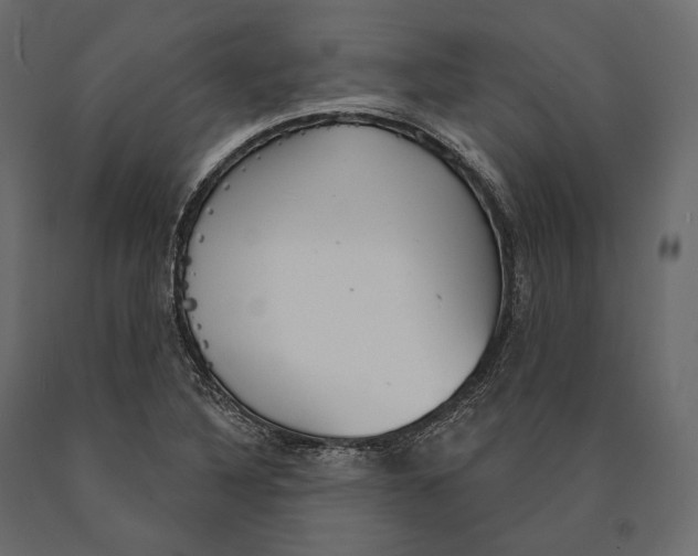 X0000090461316200708031232
