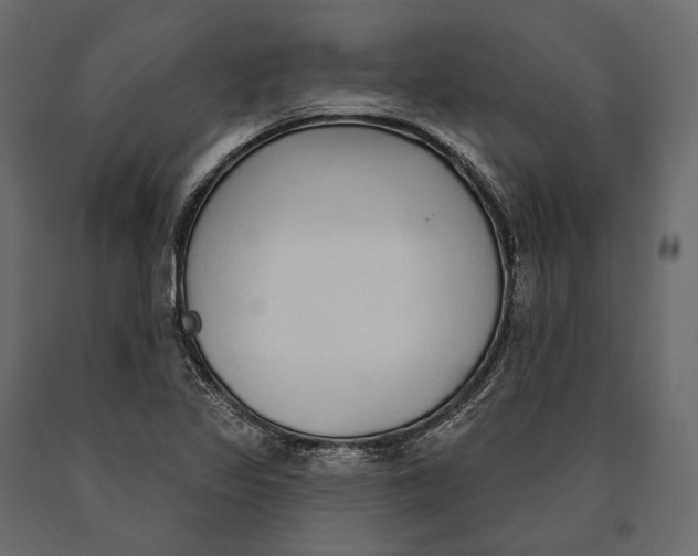 X0000090461317200708031232